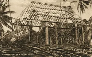 Tongan: Framework of a Tongan House