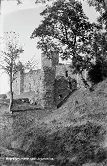 Grassy: Framlingham Castle