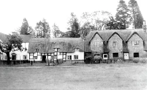 Frampton: Frampton on Severn, Thatched Cottages c1955