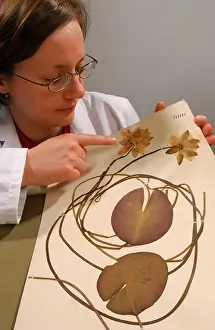 Kern: Fran Kern with herbarium specimen