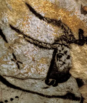 Lascaux: FRANCE