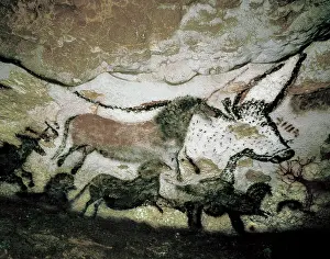 Lascaux: FRANCE