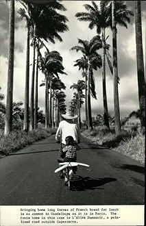 Guadeloupe: France - Monaco - Sark