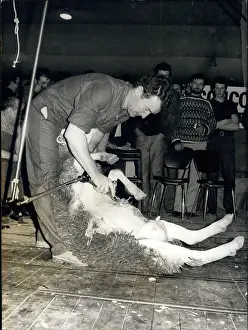 Shearing: France - Monaco - Sark