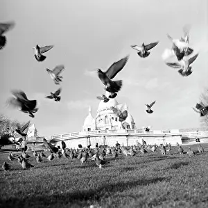 Fliegen: France - Paris 1970