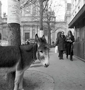 Bevlkerung: France - Quartier Latin Paris 1970