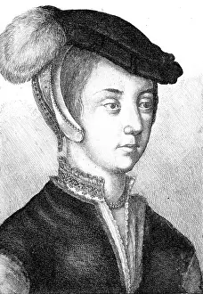 Vere: Frances Countess Surrey
