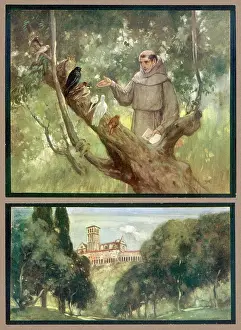 1226: FRANCESCO AND BIRDS