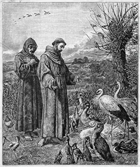 1226: FRANCIS OF ASSISI & BIRD
