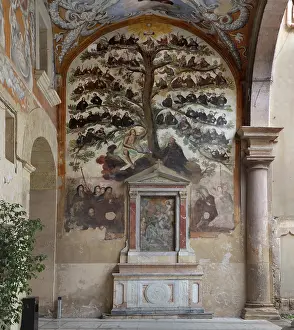 Insular: Franciscan Family Tree, Franciscan monastery La