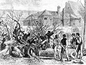 Felled: Franco-Prussian War 1870 - 1871