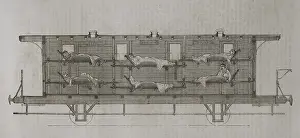 Sanitary: Franco-Prussian War (1870-1871). Casualty transport