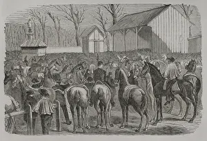 Equine: Franco-Prussian War (1870-1871). Siege of Paris