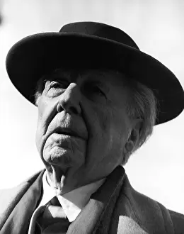 Infocus48: Frank Lloyd Wright