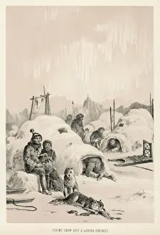 Franklins: FRANKLIN/LAND EXPEDITION