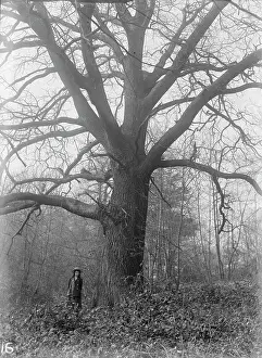The Bexley Archive Image Collection: Franks Park, Belvedere