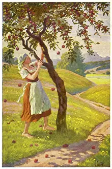 Holle: FRAU HOLLE - 2