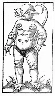 Freak: FREAK BIRTH OF 1547