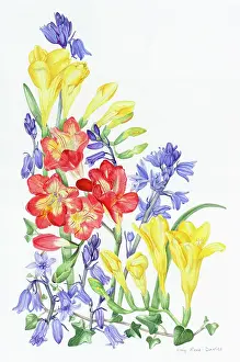 Freesias: Freesias and Bluebells ' with ivy
