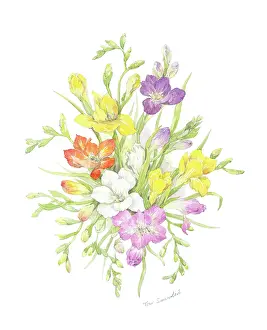 Toni: Freesias - yellow, white, red, and mauve flowers