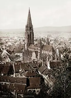 Freiburg: Freiburg Cathedral, Germany