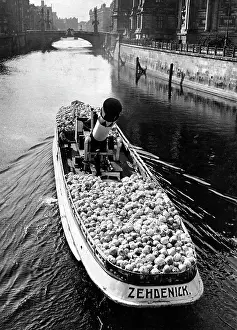 Cabbage: Freight ship in Berlin, 1914