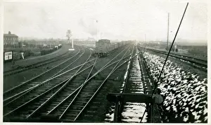Freight: Freight Train, Rillington, Yorkshire