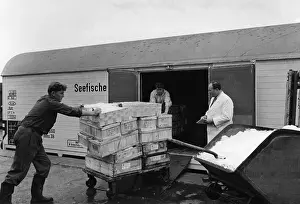 Foodstuffs: Freight transport in Germany, around the 1930s
