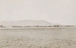 Flatland: A freight wagon train travels across flat
