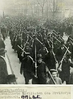 Reinhard: Freikorps Reinhard, 1919