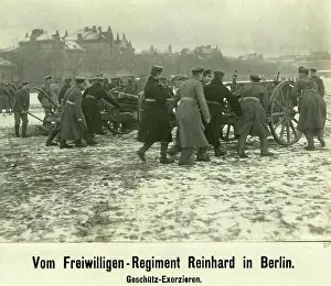 Reinhard: Freikorps Reinhard, 1919