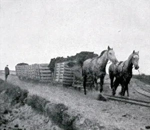 Peat: Freistatt peat train