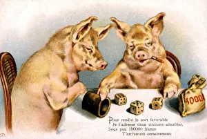 Moneybag: French advert of pigs gambling with dice