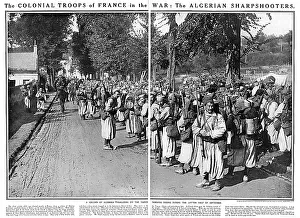 Sharpshooters: French Algerian troops in World War One