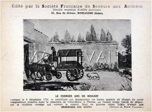 Animaux: FRENCH ANIMAL WELFARE