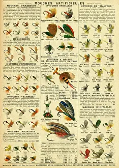 Angling: French artificial fishing flies