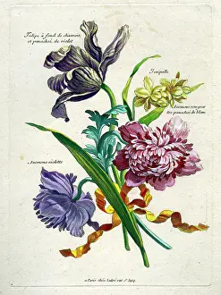 Lattre: French Bouquet