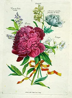Lattre: French Bouquet