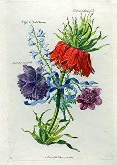 Lattre: French Bouquet