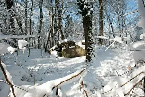 Surviving: French bunker at Pfetterhouse