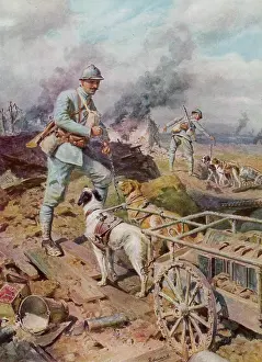 Haul: French canine corps, World War One