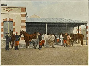 Periodically: FRENCH CAVALRY VETS