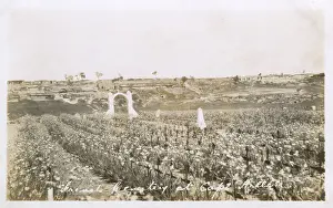 Helles: The French Cemetery at Cape Helles, Dardanelles