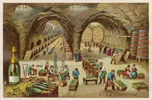 Cellars: FRENCH CHAMPAGNE CELLARS