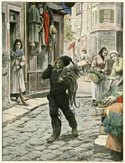 Sweeps: French chimney sweep