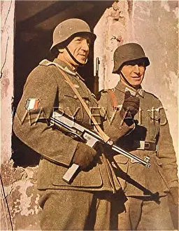 FRENCH COLLABORATORS