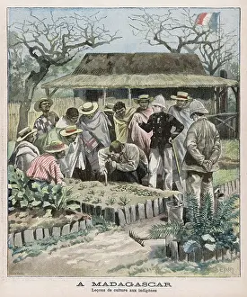 Horticultural: FRENCH COLONIALISM