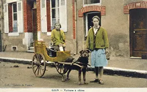 Gien: FRENCH DOG CART