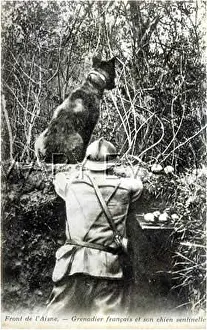 Senses: FRENCH DOG SENTRY