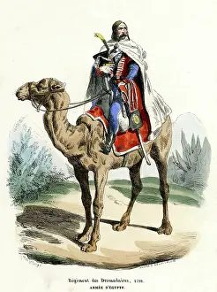 Dromedary: FRENCH DROMEDARY CAVALRY